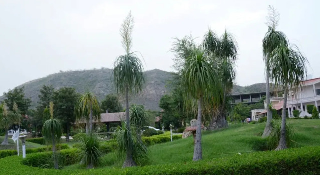Raj Mahal Resort & Spa, Забронировать Курортный отель Отели штата Раджастхана с парковкой, Парковка