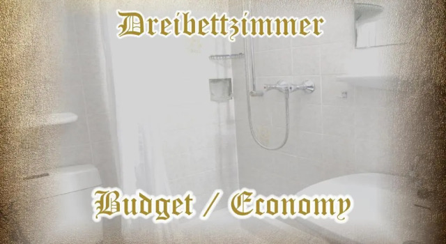 Номер Economy Burg-Hotel & Hostel Cochem