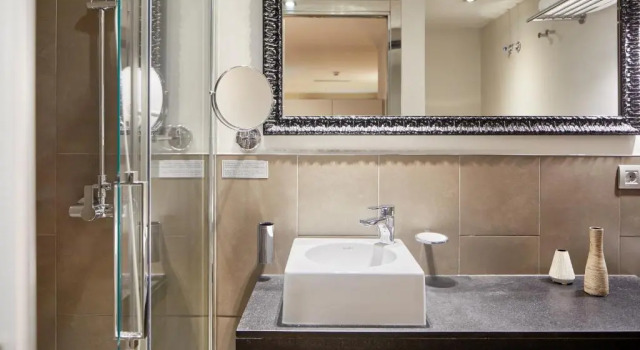 Двухместный номер Deluxe Hotel Vasanta