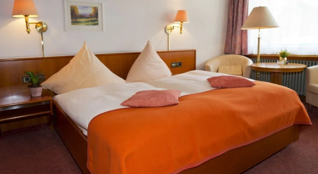 Двухместный номер Standard Hotel Buck