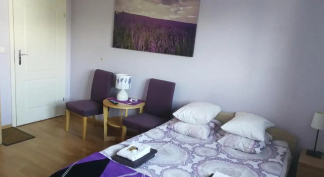 Номер Standard Villa Jeziorki
