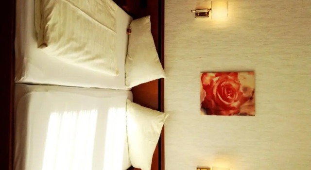 Двухместный номер Standard Parkhotel