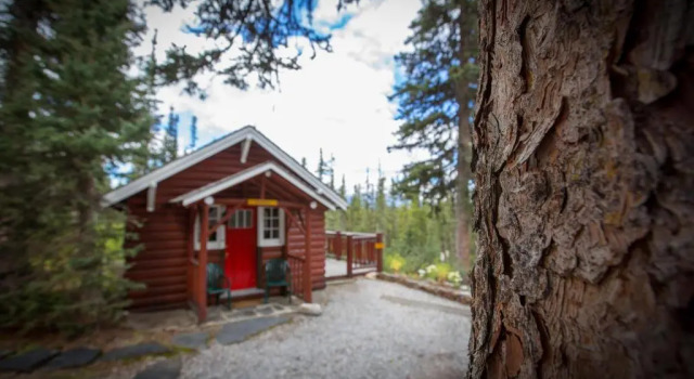 Бунгало c 1 комнатой с видом на горы Paradise Lodge and Bungalows
