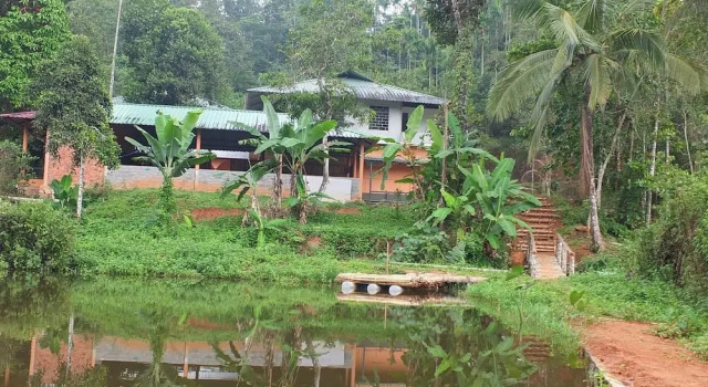 Jungle Valley Resort