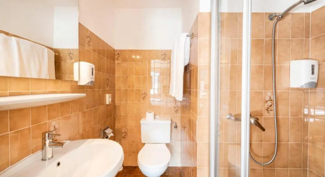 Трёхместный номер Standard Albergo Ristorante Svizzero