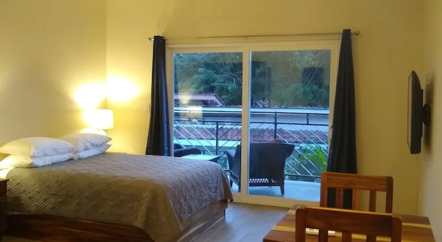Студия Luxury Palm Beach Inn