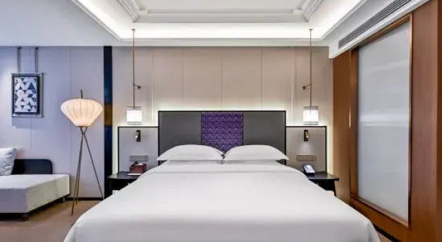 Люкс Jinjiang Metropolo Fuyu Road Susong Anqing Hotel
