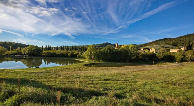 Люкс Tenuta Lupinari