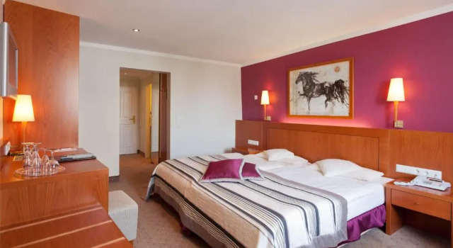 Habitación doble Estándar con vista al lago Hotel Lindauer Hof