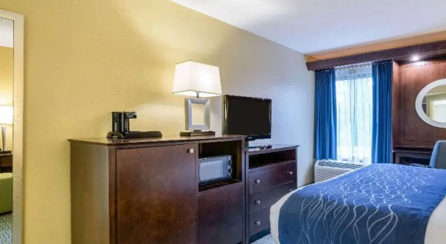 Одноместный номер Standard Comfort Inn & Suites Newark - Wilmington