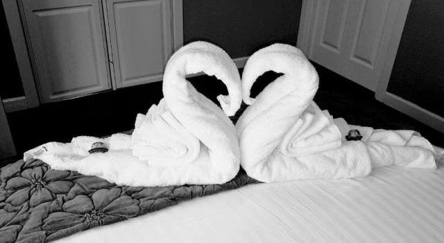 Tafarn-y-Deri, Book Hotel 4-stjernede hoteller i Dyfed, 4*