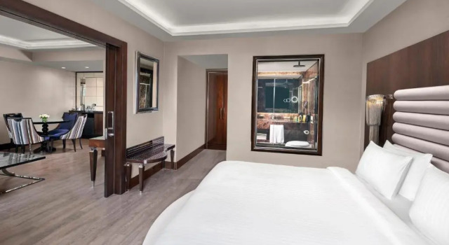 Двухместный люкс c 1 комнатой DoubleTree by Hilton Istanbul Gayrettepe