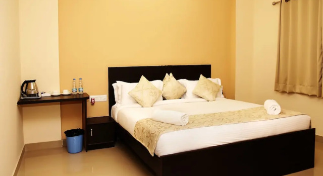 Номер Economy The Park Classic Udaipur