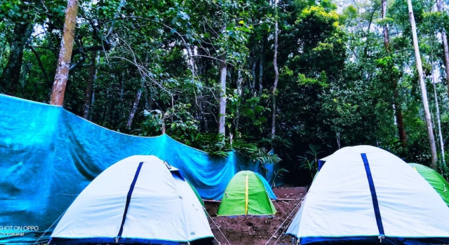 Lake View Camp