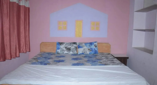 Двухместный номер Standard с красивым видом из окна Amardeep Palace