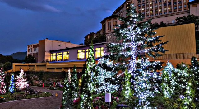 Номер Deluxe Hotel Morinokaze Oshuku