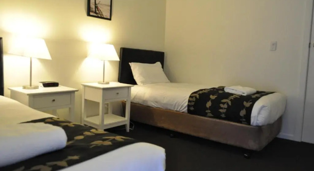 Люкс Deluxe Albury Burvale Motor Inn