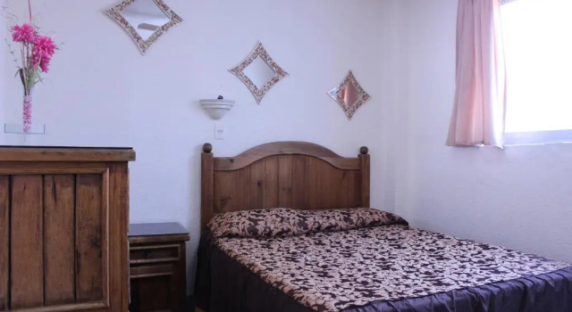 Номер Standard Hotel Plaza Aleman