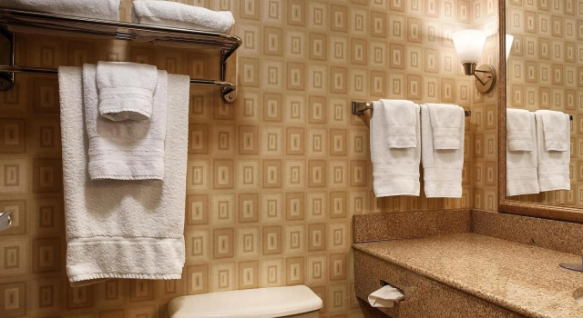 Номер Standard Best Western Plus Waynesboro