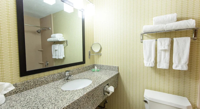 Четырёхместный номер Premium Holiday Inn St. Louis Airport West Earth City by IHG