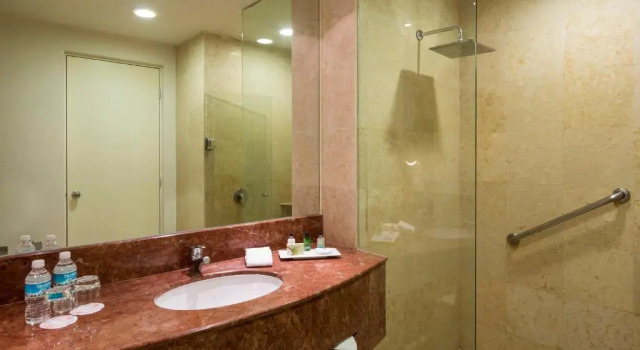 Полулюкс Real Inn San Luis Potosi