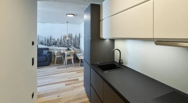 Апартаменты c 1 комнатой DER*ADLER Apartments