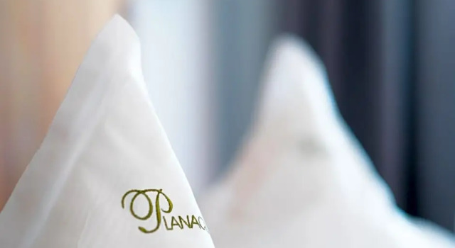 Номер Standard Hotel Garni Planaces