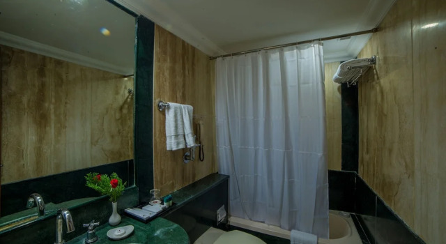 Номер Standard Raj Park Hotel Chennai