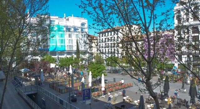 Двухместный номер Standard Hotel Miau