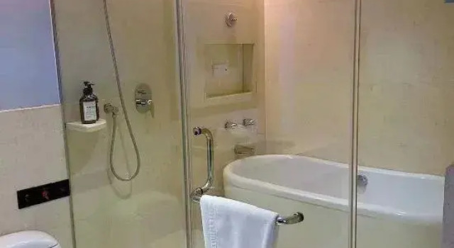 Люкс Luxury Rich Plaza Hotel
