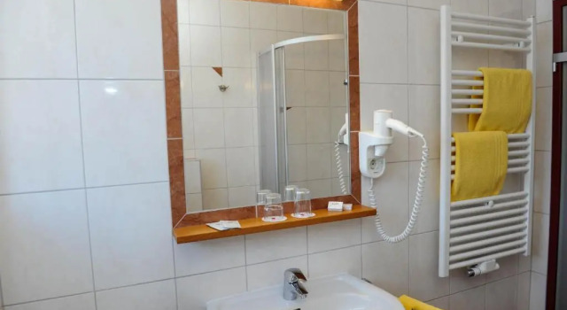Номер Standard Hotel Posauner