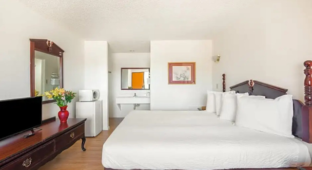 Трёхместный номер Premium OYO Hotel Groesbeck