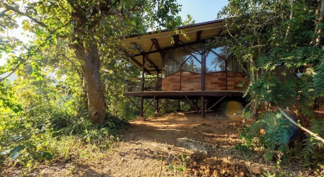 Коттедж Deluxe Kanha Jungle Camp