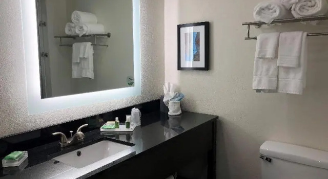Номер Standard Holiday Inn Allentown-Bethlehem by IHG