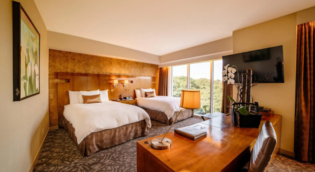 Emporio Zacatecas, Rezervovat Hotel 3hvězdičkové hotely v Zacatecas, 3*