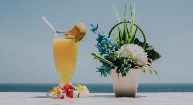 Двухместный номер Deluxe Sea Terras Suite and Luxury