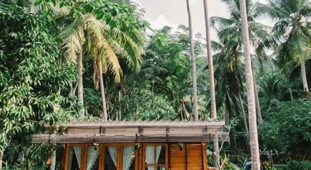 Номер Standard Jungle Koh Kood Resort
