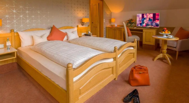 Двухместный номер Comfort Krone am Park - Gästehaus des Hotel Krone