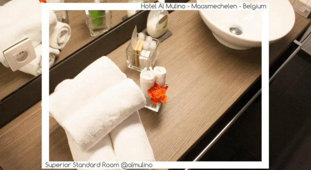 Номер Superior Hotel De Molen