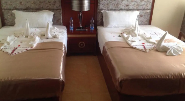 Номер Standard PALM PALACE Best BUDGET HOTEL & TOUR Options s