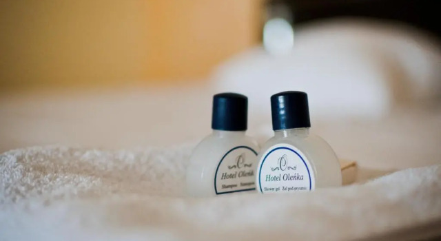 Номер Standard Hotel Oleńka