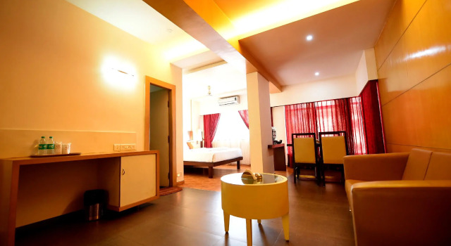 Люкс Ayush International Hotel
