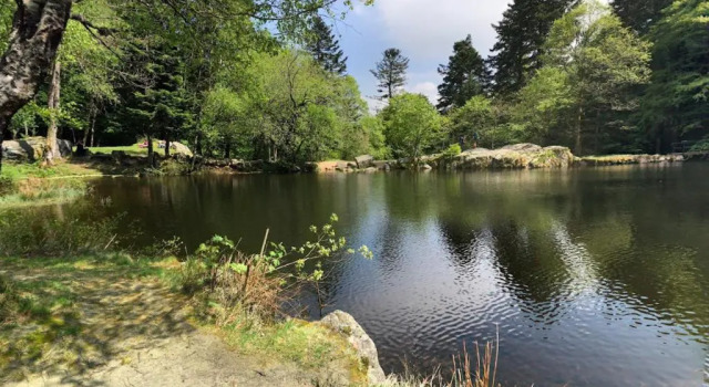 Шале NatureZenKota