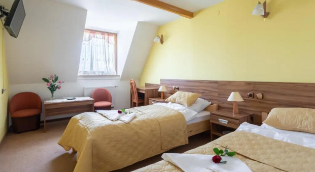 Номер Standard Hotel Góralski Raj