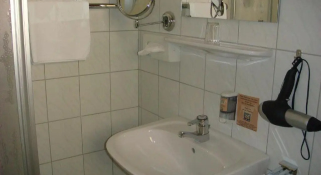Номер Standard Alpin Panoramahotel Lärchenhof
