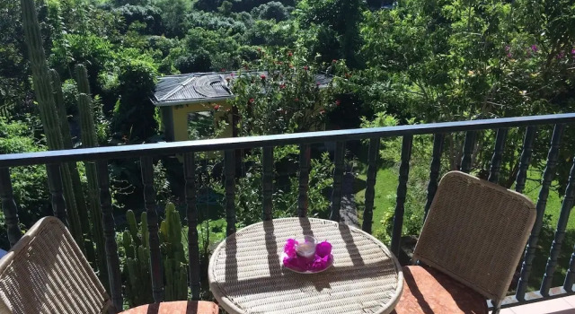 Номер Deluxe Valley View Lodge - Finca Huetares