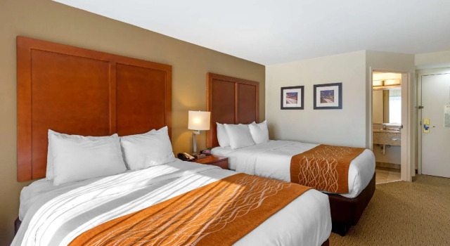 Четырёхместный номер Standard Comfort Inn Kennesaw