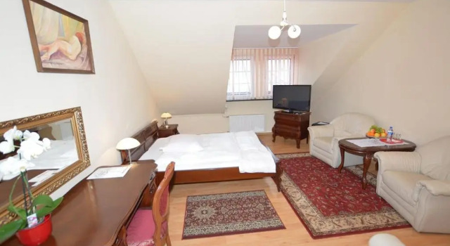 Двухместный номер Standard Hotel Gracja