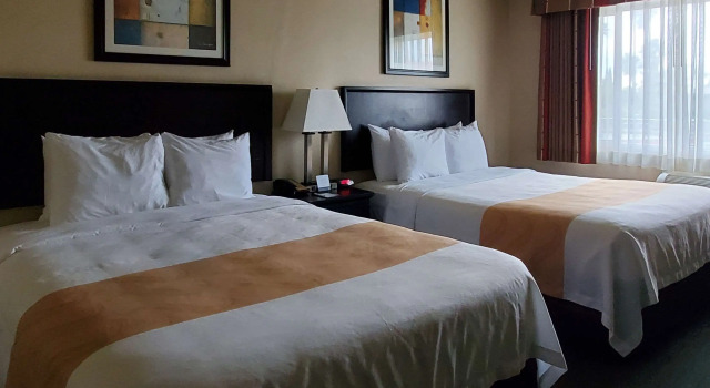 Четырёхместный номер Standard Quality Inn & Suites Anaheim at the Park