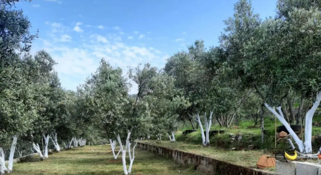 Апартаменты Charming House With Nature View in Fethiye